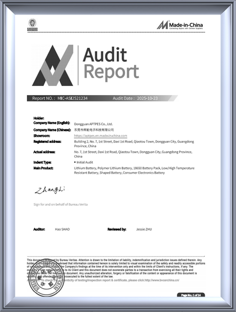 Made-in-China Audit Report